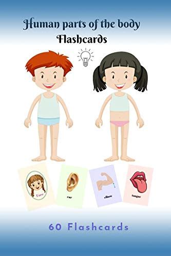Human parts of the body Flashcards: 60 flashcards human-body-parts for ...