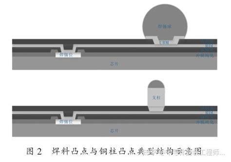 WLWT Springer 的图像结果