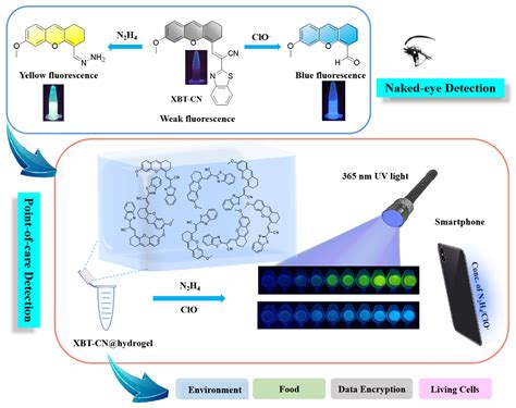 Point-of-Care and Dual-Response Detection of Hydrazine/Hypochlorite ...