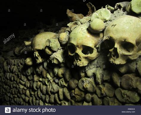 Pile Of Bones Stock Photos & Pile Of Bones Stock Images - Alamy