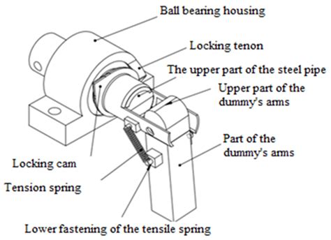 Upper Limb Design of an Anthropometric Crash Test Dummy for Low Impact ...