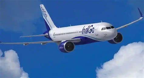 IndiGo names Pieter Elbers as new CEO, Dutta to retire on Sept 30