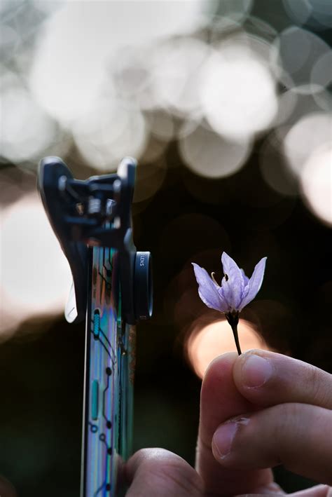 Tutorials Using Mobile Phone Lens – APEXEL INDIA