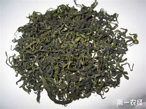 山东青岛特产：海青茶 - 地方特产 - 第一农经网