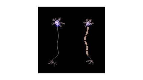 Potential Gif at Marie Renda blog