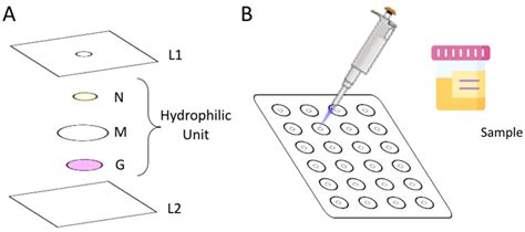 Design and Functionalization of a µPAD for the Enzymatic Determination ...