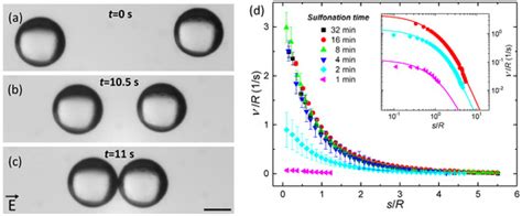 Assembly of 1D Granular Structures from Sulfonated Polystyrene ...