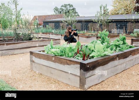 Image result for HowToBasic Behind the Scenes