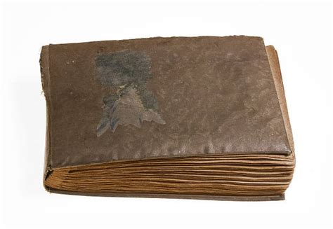 Image result for Papyrus Sheets