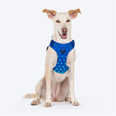 Buy HUFT Walk Light Pet Harness for Dog - Blue – Heads Up For Tails