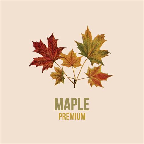 Virtual + in-person classes — Elk Rock Yoga