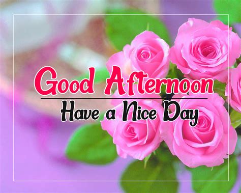 [100+] Good Afternoon Pictures | Wallpapers.com