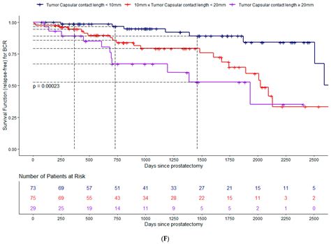Risk Biomarkers for Biochemical Recurrence after Radical Prostatectomy ...