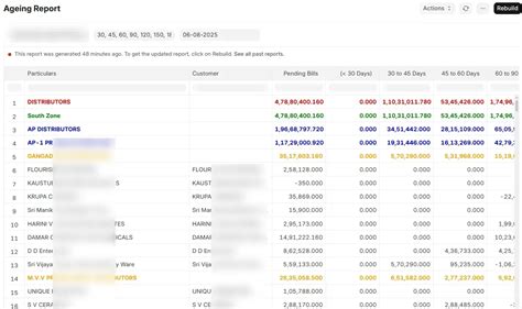 Custom Sales Reports for Faster Collections in ERPNext