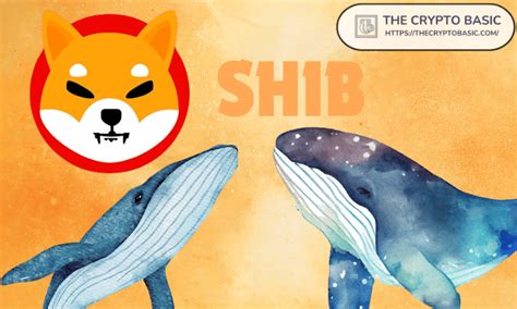 Shiba Inu Whale Frenzy: 406 Transactions Each Surpass $100,000 as Big ...