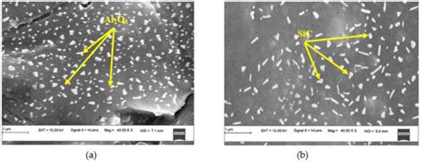 Effect of Al2O3 and SiC Nano-Fillers on the Mechanical Properties of ...