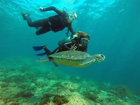 Buzios Divers (Armacao dos Buzios) - All You Need to Know BEFORE You Go