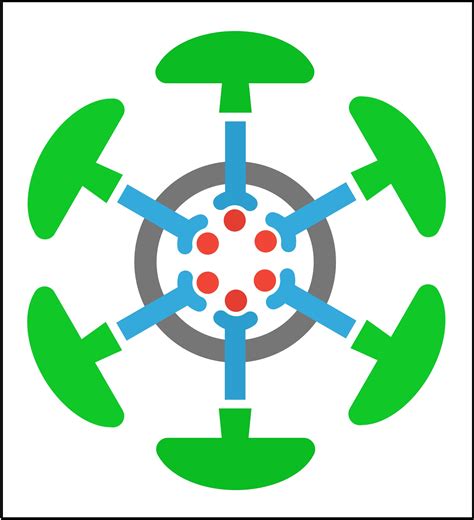 Vesicles Cell 的图像结果