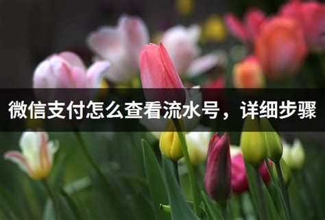 农行手机银行如何看自己一年流水总额 农业银行app查询一年总账单教程_历趣