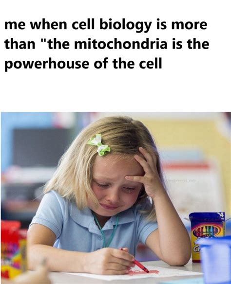 Biology Meme 的图像结果