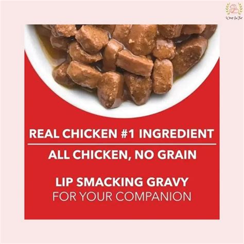 Drools ADULT Chunk in Gravy – Wrapinfur