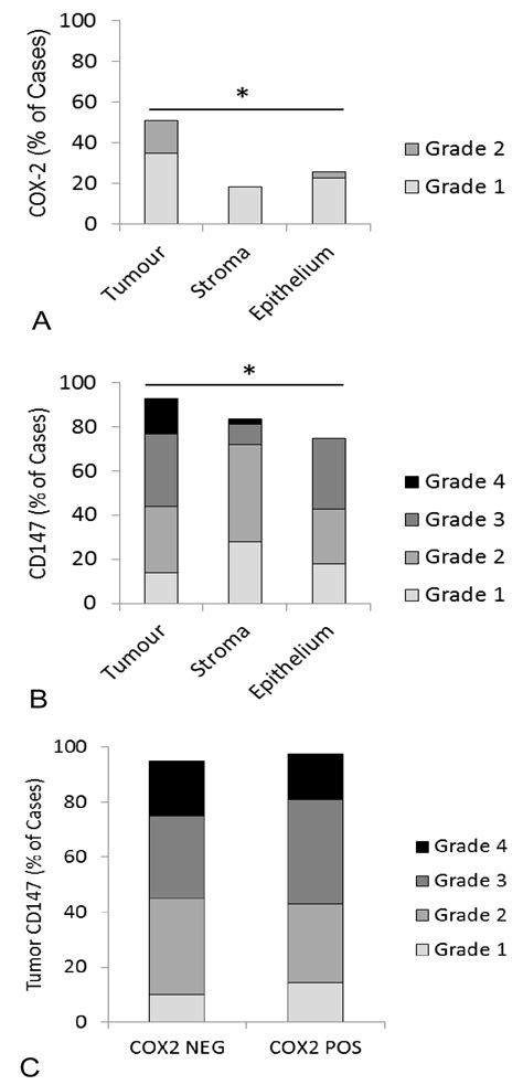 CD147 and Cyclooxygenase Expression in Feline Oral Squamous Cell Carcinoma