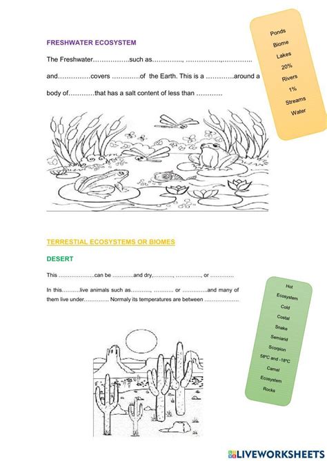 Ecosystem Worksheet 的图像结果
