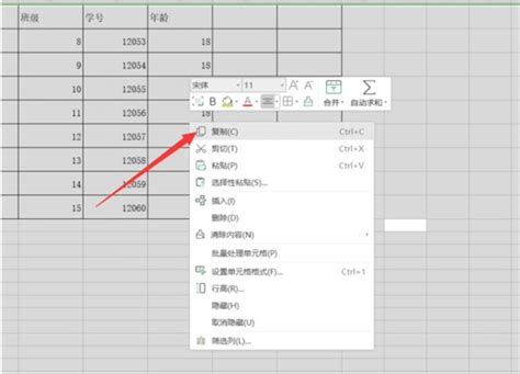 Excel怎么做才能复制表格不变形 - 系统之家