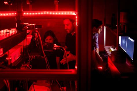 Image result for Lab Lab Kes