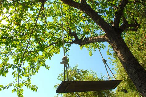 Tree Swing « vinovy37