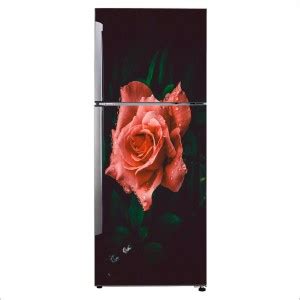 sp decals 60 cm Decorative Beautiful floribunda flower with green ...