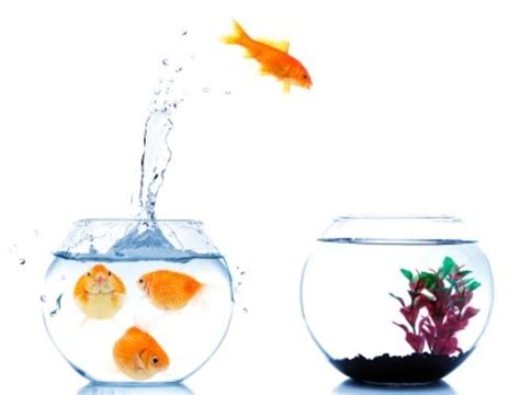 Have a Strong Interest in Software Development 的图像结果