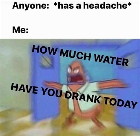 20 Water Memes to Dive into this World Water Day - Funny