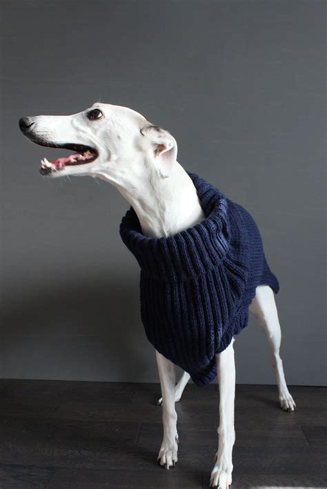 Long Neck Dog Sweater cowl Neck Turtleneck Hand Knitted - Etsy Canada