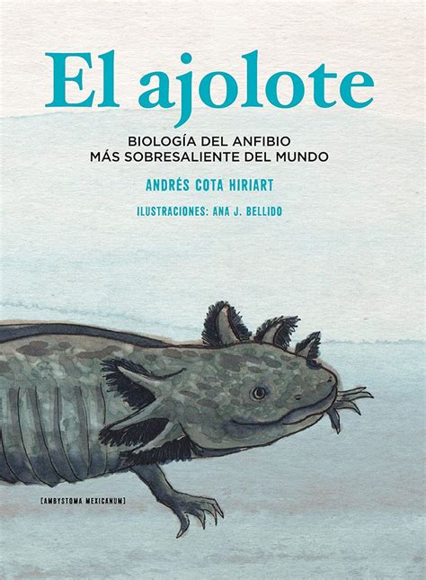 El ajolote: Biología del anfibio más sobresaliente del mundo (Spanish ...