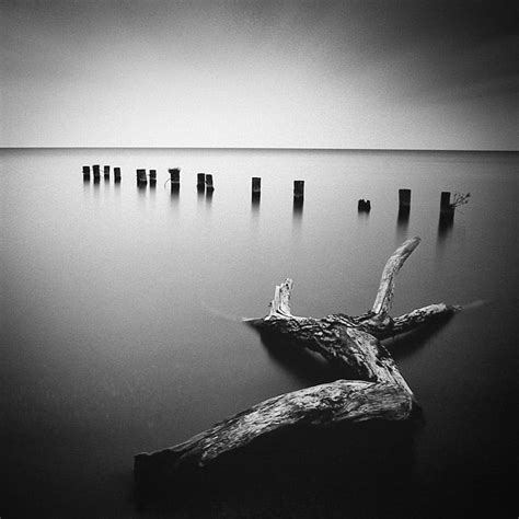 Nikon 35Mm Camera 的图像结果