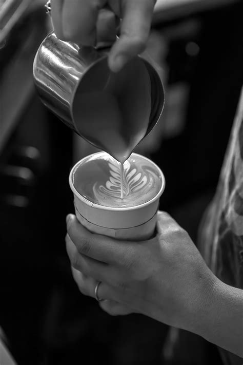 Red Cat Coffee House, Birmingham, AL – Coffee For All