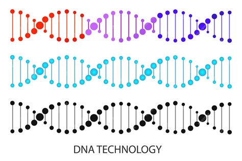 Image result for DNA Structure Simple
