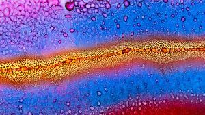 Microscopic wallpapers hd, desktop backgrounds, images and pictures