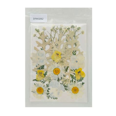 DFMG062_1200x1200.jpg?v=1753198742