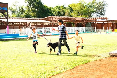 2024 Japan's largest! Admission ticket to the theme park “Tsukuwanwan ...