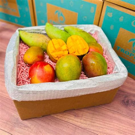 Mango Box 的图像结果