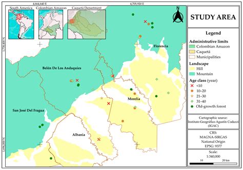 Scaling Plant Functional Strategies from Species to Communities in ...