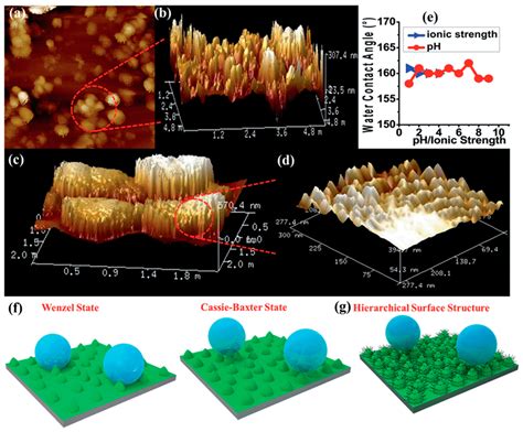 Recent Hydrophobic Metal-Organic Frameworks and Their Applications