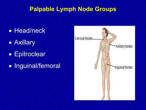 Axillary Lymph Nodes Examination.pptx