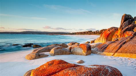 Bay Of Fires | Tasmania, Camper trailer australia, Australia