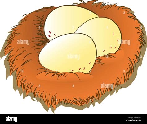 Chicken in nest illustration hi-res stock photography and images - Alamy