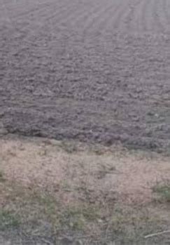 Agricultural/Farm Land for Sale in Ramanathapuram, Tamil Nadu