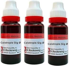 Buy Calotropis Q 20ml Dr Reckeweg (Pack Of 3) Online at Low Prices in ...