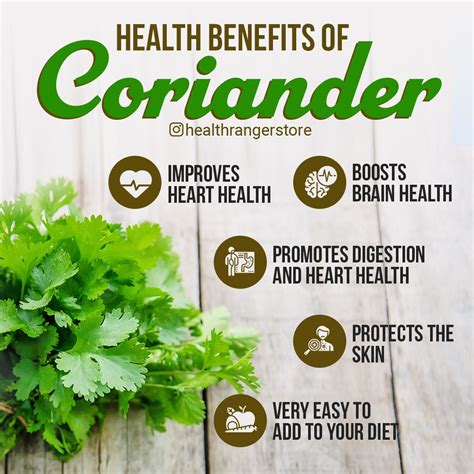 Ground Coriander Benefits